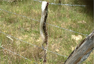 Randy Hall, The Outdoor Lawyer keeps you legal in the woods and on the water