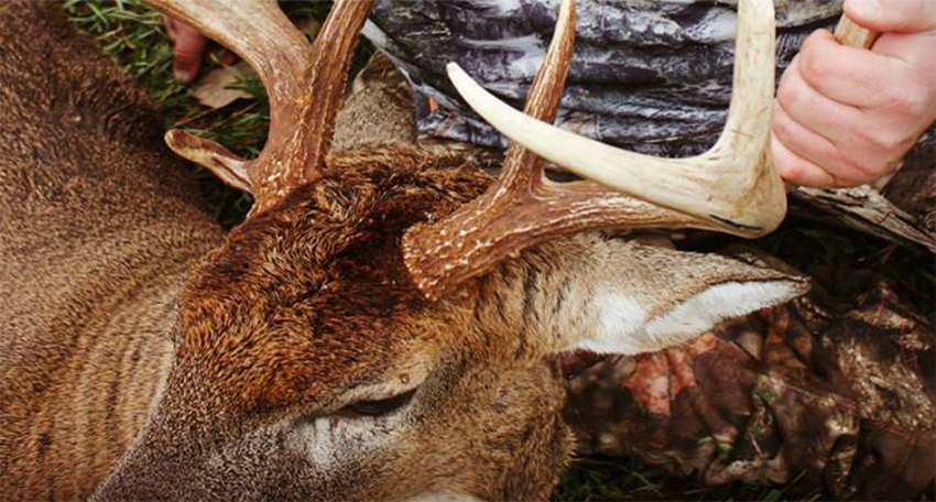 Deer Hunting Checklist